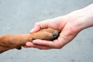 hand-dog
