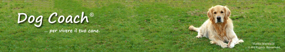 Dog Coach – Per vivere il tuo cane