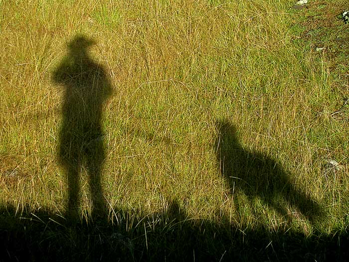 cane e uomo ombra