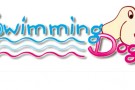 swimming dogs firenze