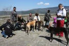Camminata Leverieri a Cortona - 17 aprile - by Salvatore Libra