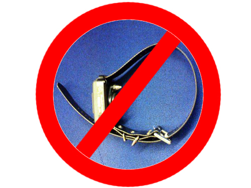 No Collare Elettrico
