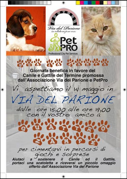 14 maggio canile del termine via del parione petpro