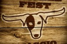 Jack Russel Fest 8 maggio 2011