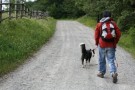 dog trekking il segno di fido