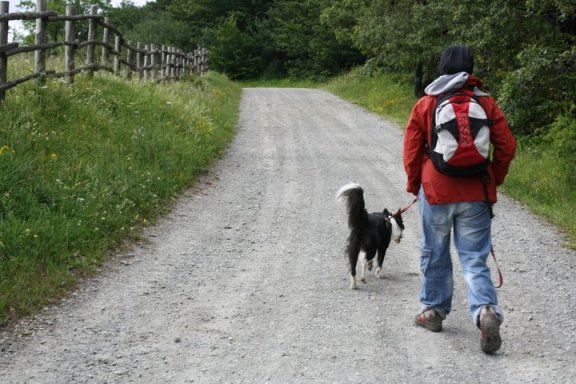 dog trekking il segno di fido
