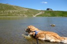 Dog Trekking Lago Scaffaiolo Toscana (2)