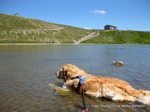 Dog Trekking Lago Scaffaiolo Toscana (2)