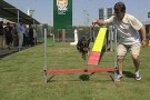 fido_park--400x300