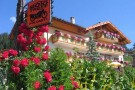 hotel millefiori val di fassa cane pet friendly (2)