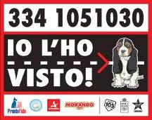 io-lho-visto