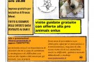 pro animals martedì in arte visite30agosto