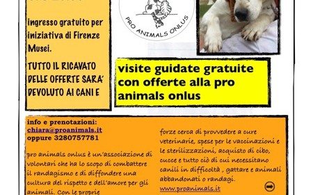pro animals martedì in arte visite30agosto
