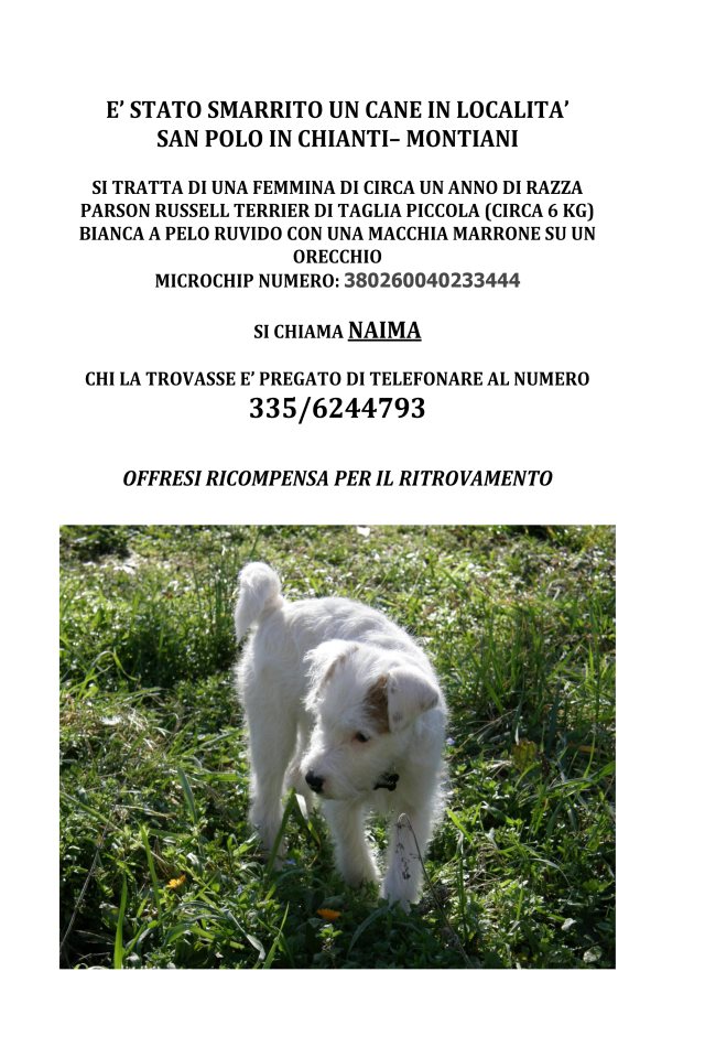 volantino parson terrier naima simone fallaci