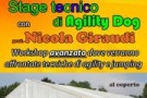 Stage avanzato di Agility Dog con Nicola Giraudi