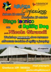 Stage avanzato di Agility Dog con Nicola Giraudi