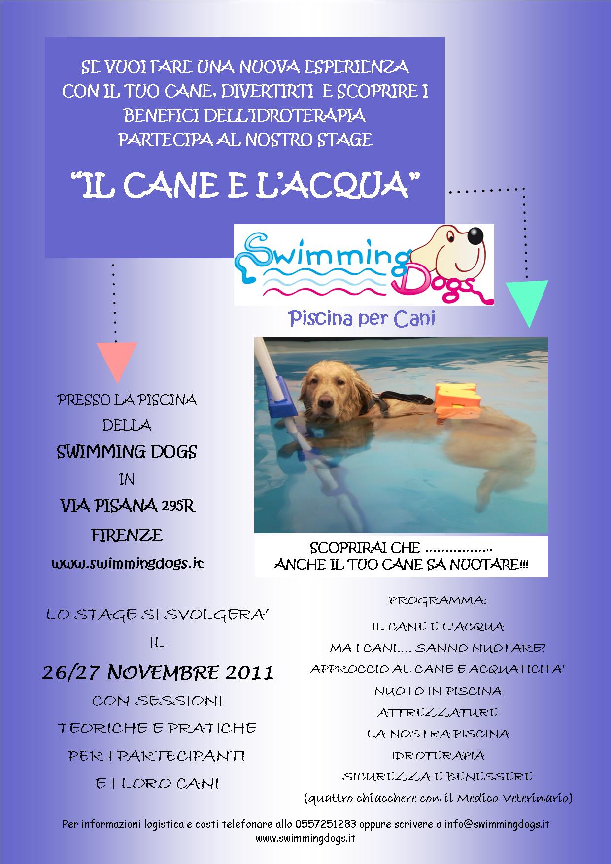 locandina