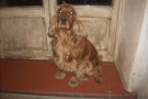 ROMEO 3 anni