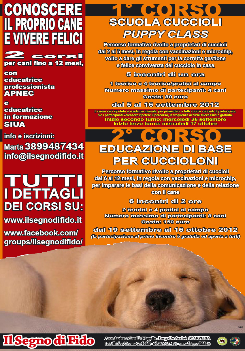 PUPPY2012FIDO