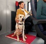 cani-XXL-ITALO-300x284