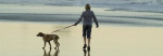 cani-spiaggia-toscana